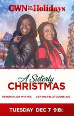 Watch A Sisterly Christmas Megashare9