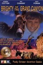 Watch Brighty of the Grand Canyon Megashare9