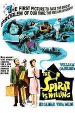 Watch The Spirit Is Willing Megashare9