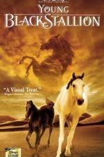 Watch The Young Black Stallion Megashare9