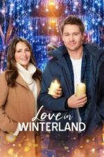 Watch Love in Winterland Megashare9