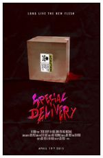 Watch Special Delivery Megashare9