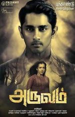 Watch Aruvam Megashare9