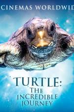 Watch Turtle The Incredible Journey Megashare9