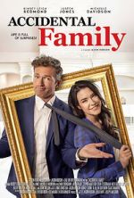 Watch Accidental Family Megashare9