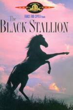 Watch The Black Stallion Megashare9