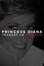 Watch Princess Diana: Tragedy or Treason? Megashare9