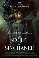 Watch The Secret of Sinchanee Megashare9