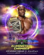 Watch WWE Elimination Chamber (TV Special 2022) Megashare9