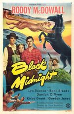 Watch Black Midnight Megashare9