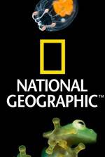 Watch National Geographic Wild Dam Beavers Megashare9