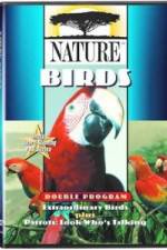 Watch PBS Nature - Extraordinary Birds Megashare9