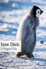 Watch Snow Chick: A Penguin's Tale Megashare9