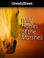 Watch Wild Horses of the Marshes Megashare9