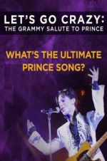 Watch Let\'s Go Crazy: The Grammy Salute to Prince Megashare9