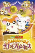 Watch Hamtaro: The Captive Princess Megashare9