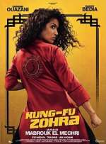 Watch Kung Fu Zohra Megashare9