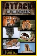 Watch National Geographic Attack Of The Big Cats Megashare9