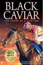 Watch Black Caviar The Races Megashare9