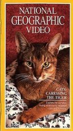 Watch Cats: Caressing the Tiger Megashare9