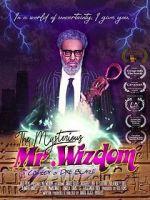 Watch The Mysterious Mr. Wizdom Megashare9