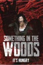 Watch Something in the Woods Megashare9