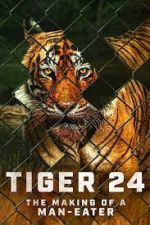 Watch Tiger 24 Megashare9