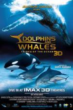 Watch Dolphins and Whales 3D Tribes of the Ocean Megashare9