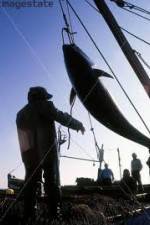 Watch National Geographic: Cheating Death Tuna Cowboys Megashare9