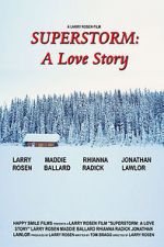 Watch Superstorm: A Love Story Megashare9