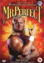 Watch The Life and Times of Mr. Perfect Megashare9