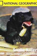 Watch National Geographic: Snake Killers Honey Badgers Of The Kalahari Megashare9