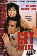 Watch Get Smart Again Megashare9