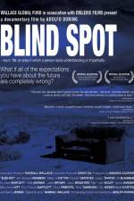 Watch Blind Spot Megashare9