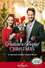 Watch Picture a Perfect Christmas Megashare9