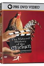 Watch The Natural History of the Chicken Megashare9