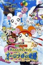 Watch Hamtaro Movie 3: Ham Ham Grand Prix Megashare9