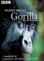 Watch Gorilla Revisited with David Attenborough Megashare9