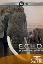 Watch Echo: An Elephant to Remember Megashare9