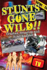 Watch Stunts Gone Wild: Crashes, Smashes & Road Rashes! Megashare9