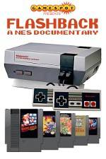 Watch Flashback NES Documentary Megashare9