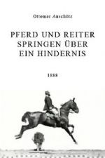 Watch Pferd und Reiter Springen ber ein Hindernis Megashare9