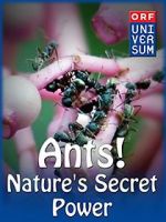 Watch Ants: Nature\'s Secret Power Megashare9