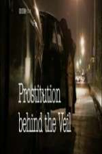 Watch Prostitution: Behind the Veil Megashare9