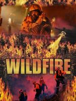 Watch Wild Fire Megashare9