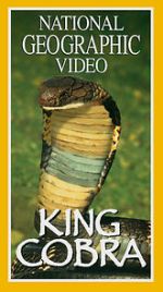 Watch King Cobra Megashare9