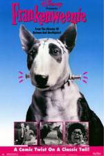 Watch Frankenweenie Megashare9