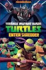 Watch Teenage Mutant Ninja Turtles: Enter Shredder Megashare9