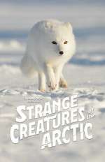 Watch Strange Creatures of the Arctic (TV Special 2022) Megashare9