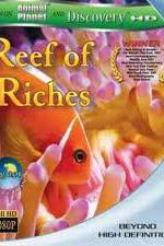 Watch Equator Reefs of Riches Megashare9